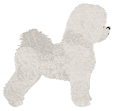 Sentinel Renaissance Man — “Rene”