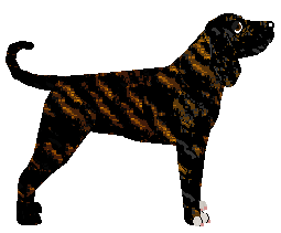 Energizing Gossip — “Charles”