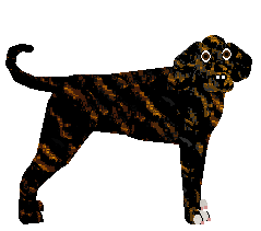 Profile image of Energizing Gossip