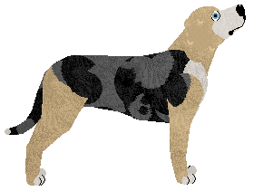 Loveshack SNOOP DOG — “Doggie”