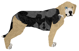 Profile image of Loveshack SNOOP DOG