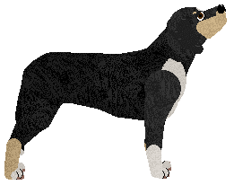 Loveshack Creme De La Creme — “Fanta”