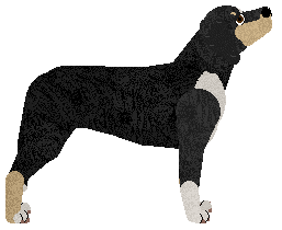 Loveshack Creme De La Creme — “Fanta”