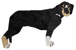 Profile image of Loveshack Creme De La Creme