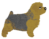 LHK's Corvus — “Kruk”