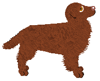 Geriatrix Stars And Stripes — “Lux”