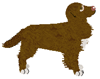 Geriatrix Kentucky Fried Duck — “Spork”