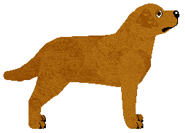 Beretta's Electric City Lights — “Amir”