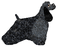 Weel's CZARNY JAK NOC — “Czornyj”