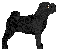 MHK I'm No Bunny — “Bunia”