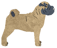 MHK Don't Mock Me — “Minnie”