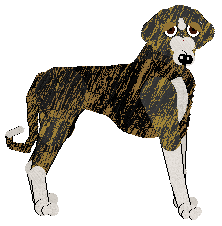 Profile image of Geriatrix Baby Giraffe