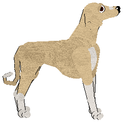 Geriatrix Gangly Lad — “Rizz”