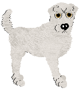 Silverfrost Crispy Crackling White — “Frostbite”