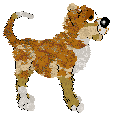 Witz' Gains and Guns at Medusa — “Ollie”