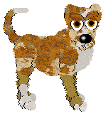 Witz' Gains and Guns at Medusa — “Ollie”