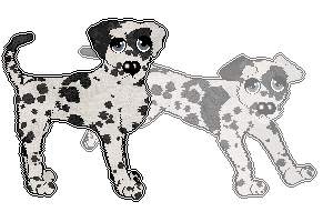 Profile image of Chachke's Midnight Rendezvous