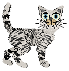 FDL's Dazzling Group — “Zebra”