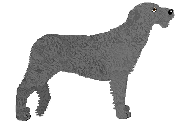 Energizing Aye Aye, Captain! — “Kapitan”