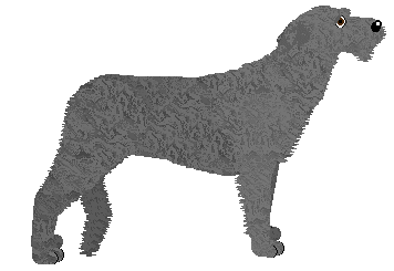 Energizing Aye Aye, Captain! — “Kapitan”