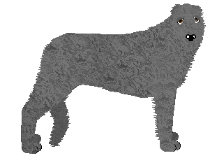 Profile image of Energizing Aye Aye, Captain!