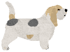 Energizing Why Not — “Li”