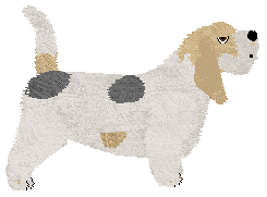 Energizing Why Not — “Li”