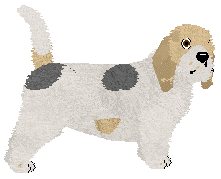 Profile image of Energizing Why Not