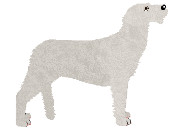 Energizing Oh Panie Majorze! — “Major”