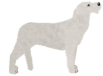 Energizing Oh Panie Majorze! — “Major”