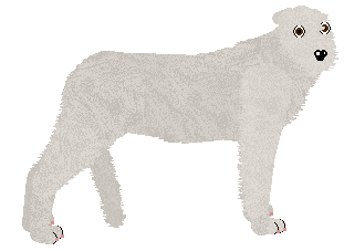 Profile image of Energizing Oh Panie Majorze!