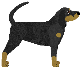 Energizing Staphylococcus aureus — “William”