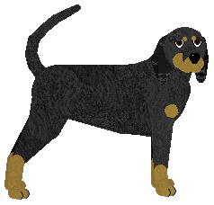 Profile image of Energizing Staphylococcus aureus