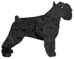 DeeOhGee's Quick Escape — “Maui”