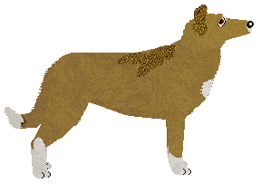 CPK French Princess — “Diuna”