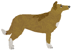 CPK French Princess — “Diuna”