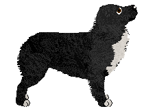 Loveshack BLUEBERRY — “Dżemik”