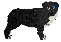 Profile image of Loveshack BLUEBERRY