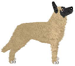 Czeko's Teenage Dream — “Emma”