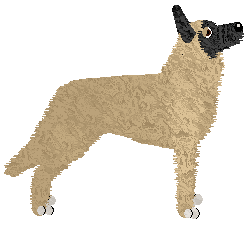 Czeko's Teenage Dream — “Emma”