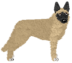 Profile image of Czeko's Teenage Dream