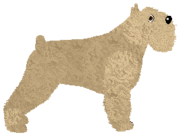 Energizing YOU'RE BEAUTIFUL — “Hanka”