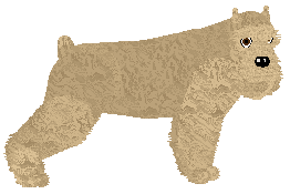 Profile image of Energizing YOU'RE BEAUTIFUL