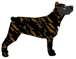 Loveshack Husband — “Hubby”