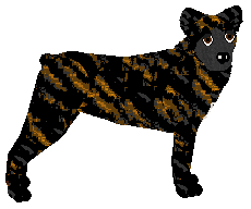 Profile image of Loveshack Husband