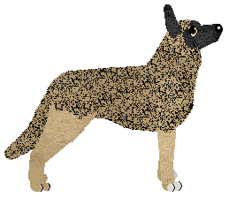 Aye Aye's Niezwyciężona of Guardian — “Igni”