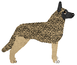 Aye Aye's Niezwyciężona of Guardian — “Igni”