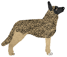 Aye Aye's Niezwyciężona of Guardian — “Igni”