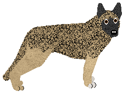 Profile image of Aye Aye's Niezwyciężona of Guardian