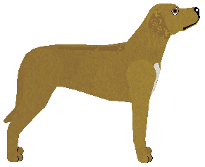 Dragosani HORIZON ZERO DAWN — “Oleander”